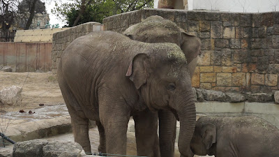 Grădina Zoologică și Botanică din Budapesta — fotografia 2