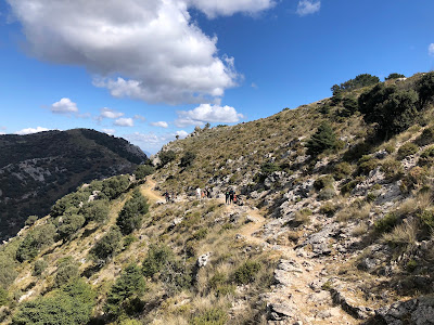Sendero del Pinsapar — fotografia 4