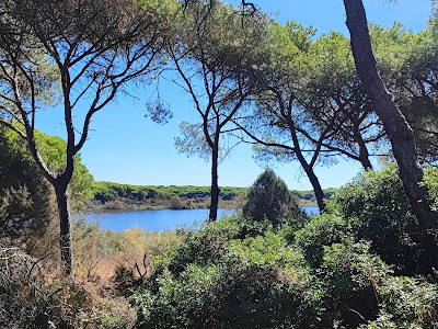 Laguna de El Portil — fotografia 4