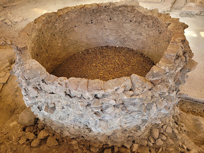 Domus del Chirurgo — fotografia 4