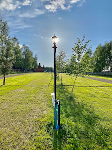 Pod Brzozą - pole kempingowe — fotografia 4