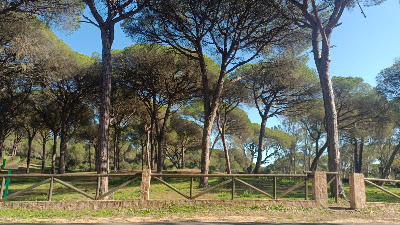 Área Recreativa El Jarillo — fotografia 5