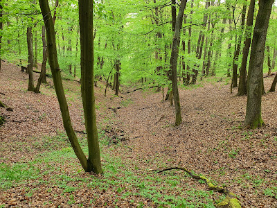 Malom-völgyi tanösvény — fotografia 5