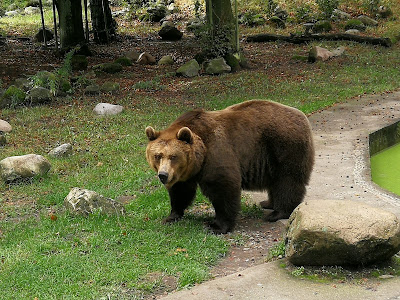 Perleberg Zoo — fotografia 3