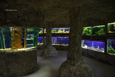 Museum of Natural Sciences — fotografia 5