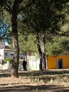 Pinar San Ginés Park — fotografia 4