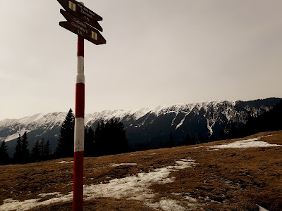 Poiana Zănoaga — fotografia 5