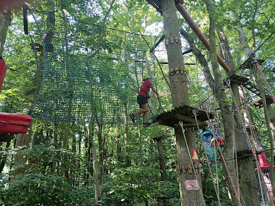 Rope Park Rewal Gibbon — fotografia 3