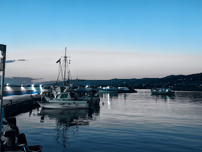 Nea Skioni Beach — fotografia 4