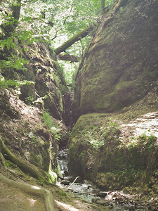 Dragon Gorge — fotografia 4
