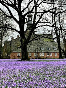 Schloss vor Husum — fotografia 4