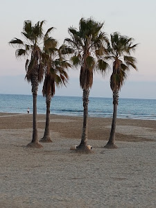 Platja de Ribes Roges