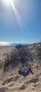 Platja del Pinet — fotografia 4