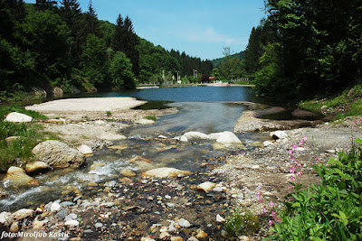 Jastrebac — fotografia 3