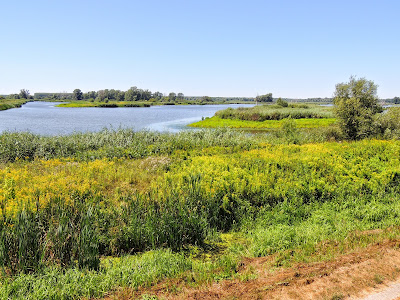 Fertő-Hanság National Park — fotografia 4