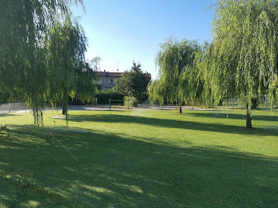 AGRICAMPEGGIO COURT Comotto — fotografia 4