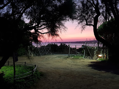 Camping Of True Life — fotografia 5