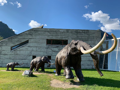 Glacier Museum — fotografia 4