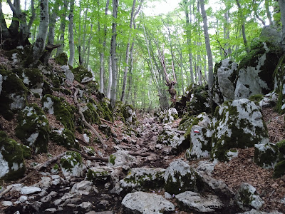 Inizio sentiero per Monte gennaro — fotografia 3
