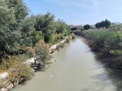 Fluvial de Murcia Río Park — fotografia 3