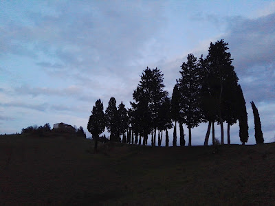 Canonica hill Park — fotografia 5