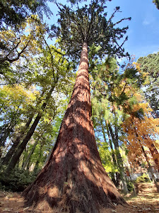 Banská Štiavnica Botanical Garden — fotografia 3