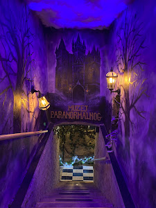 Muzej paranormalnog — fotografia 4