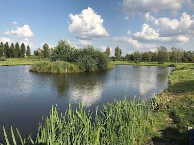 Forelvijver de Ruigenhoek — fotografia 4