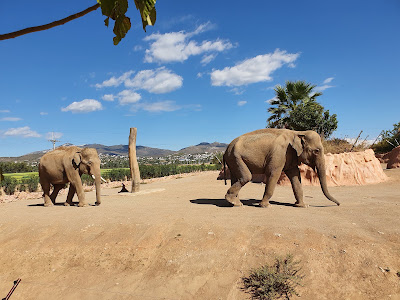 Attica Zoological Park — fotografia 5