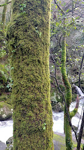 Cascada de Santa Leocadia Mazaricos — fotografia 5