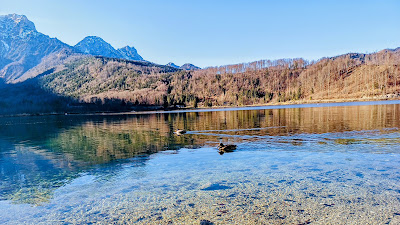 Rundweg Almsee — fotografia 4