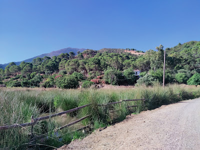 Embalse de Guadalmina — fotografia 4