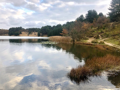 Nationaal Park Zuid-Kennemerland — fotografia 4