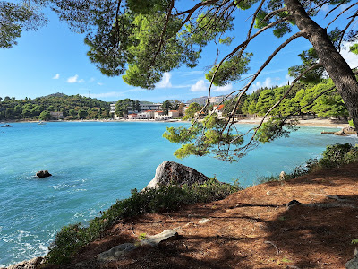 Srebreno Beach — fotografia 5