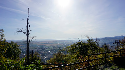 Vf. Cozla (650m) — fotografia 3