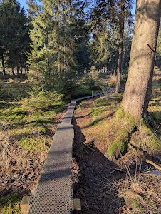 Zandspeelplaats boswachterij Grolloo — fotografia 5