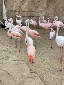 ZOO EkoPark — fotografia 4