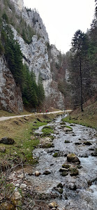 Cheile Dâmbovicioarei — fotografia 3