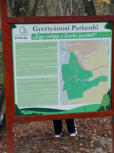 Gyertyánosi Parkerdő