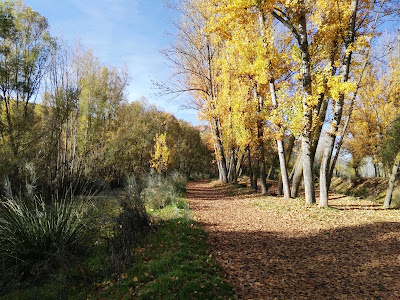Sendero del Genil — fotografia 5