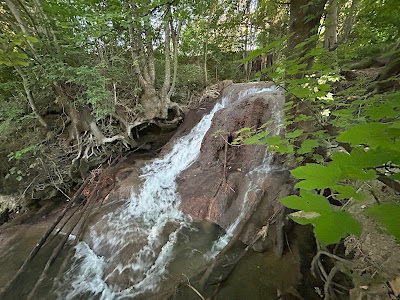 Gönninger Wasserfall — fotografia 3