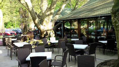 Kafana Kod Laze