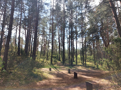 Glade recreation - Comfort — fotografia 3