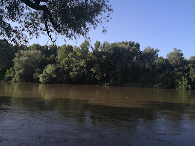 RNP Romsilva Administratia Parcului Natural Lunca Mureșului R.A. — fotografia 3