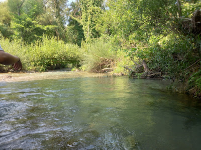 Acquatrekking — fotografia 5