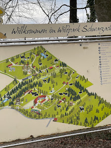 Wildpark Schwarzach — fotografia 3