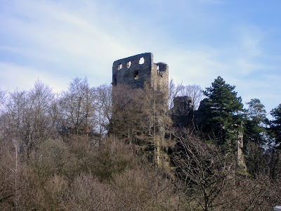 Castle Ruins Valečov — fotografia 5
