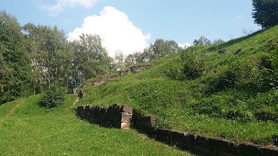 Cetatea Blidaru — fotografia 3