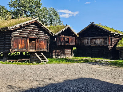 The Norwegian Museum of Cultural History — fotografia 3