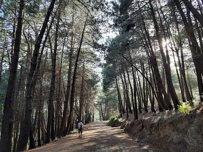 Sendero Cruz de Juanar — fotografia 4
